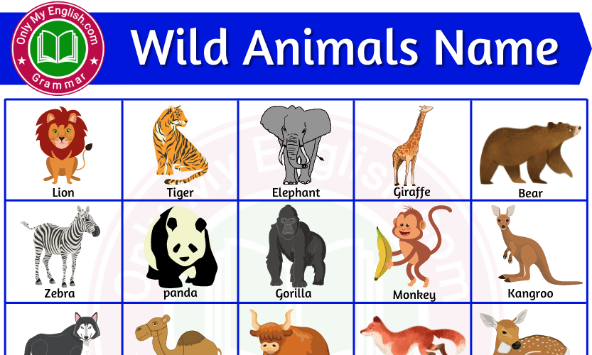 30+ Wild Animals Name in English with Images »