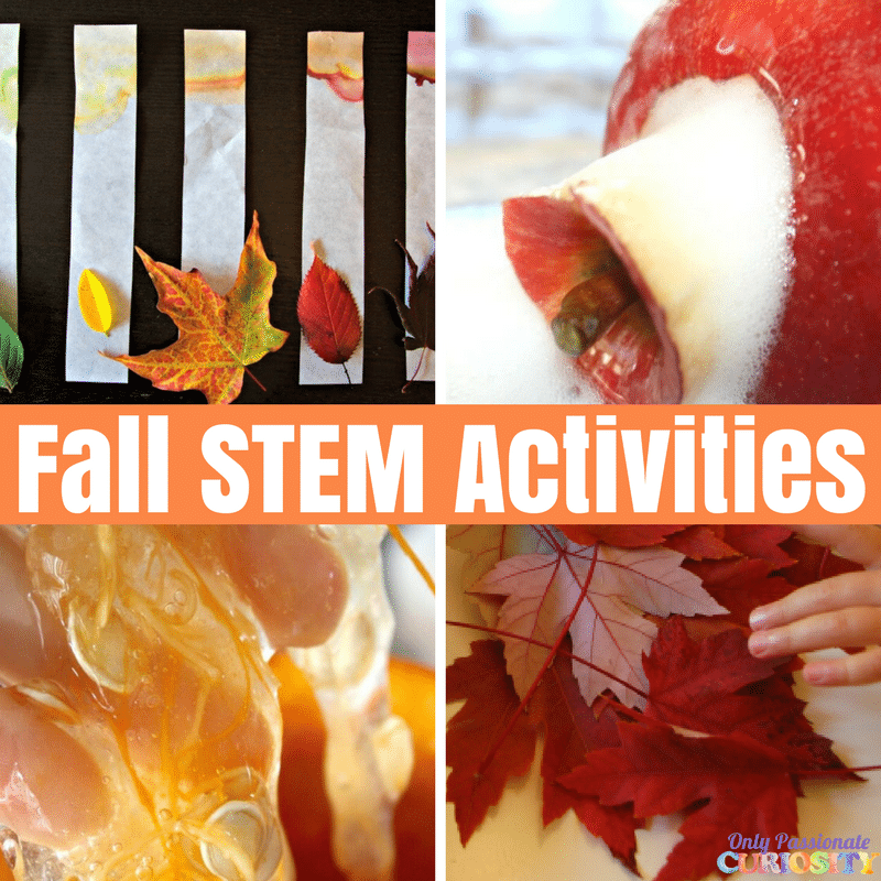 Fun STEM Activities for Fall Only Passionate Curiosity