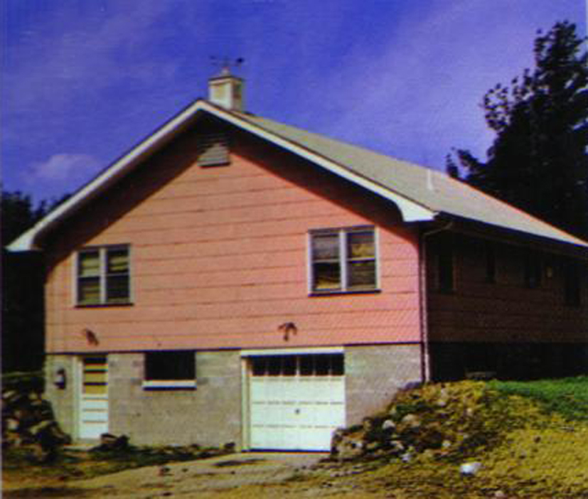 History of Pink Houses « Only The Blog Knows Brooklyn