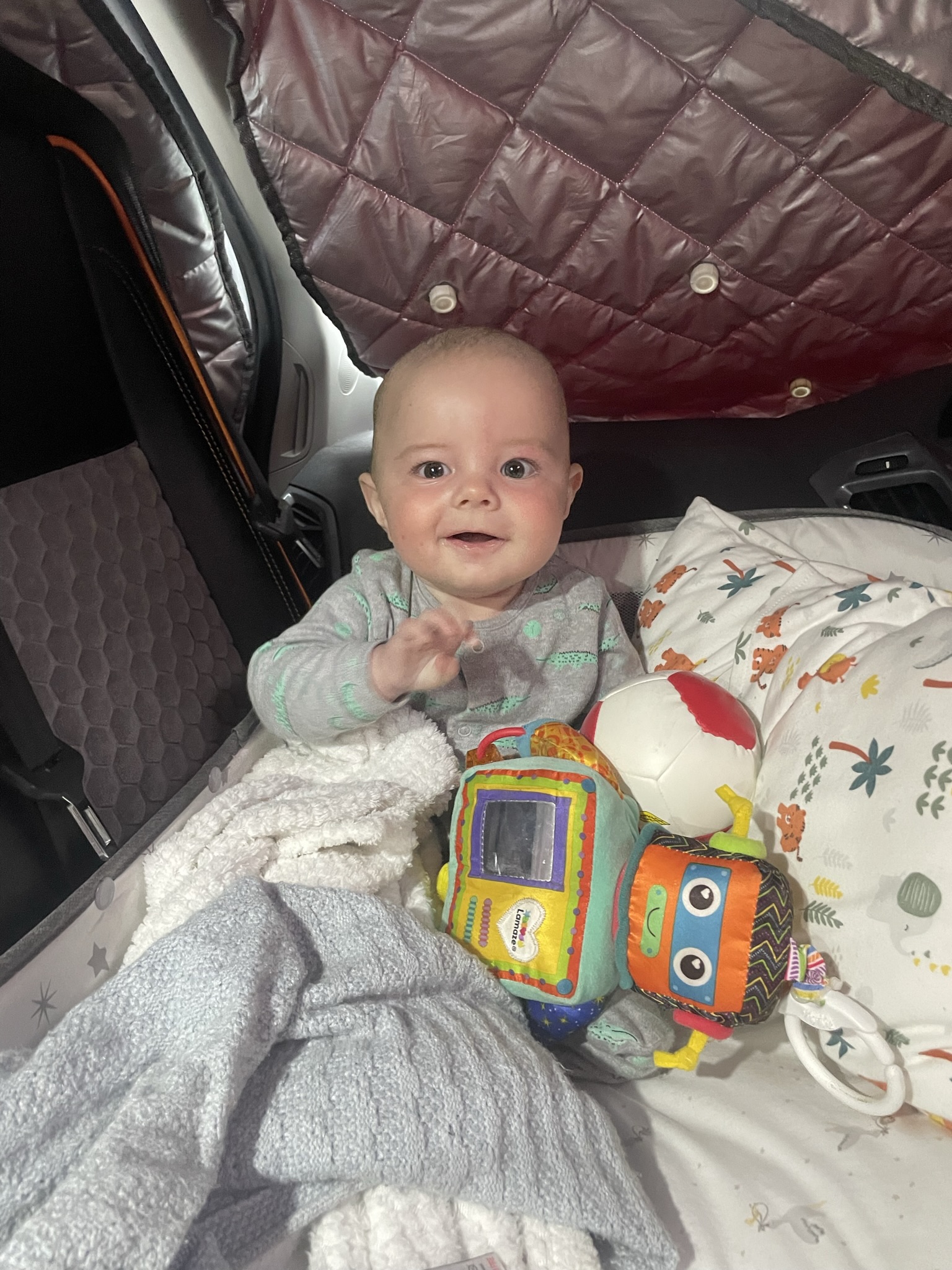 Where Will My Baby Sleep In Campervan?