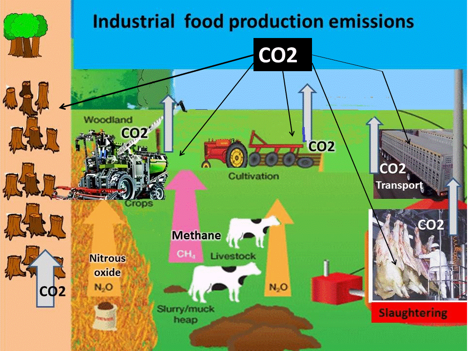 CO2 sources