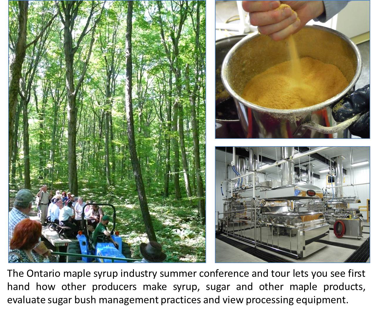 Ontario Maple Syrup Production Report for April 19, 2017