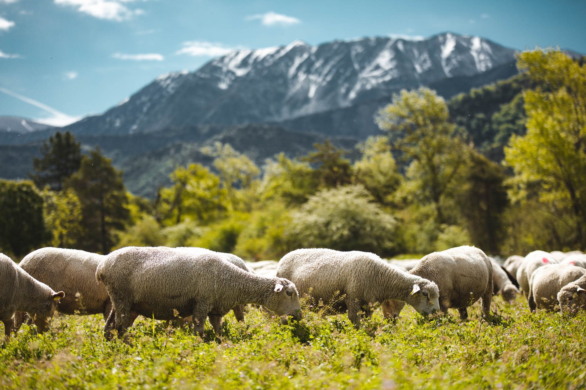 La Routo85 On met les voiles Blog voyage en France et autour du monde