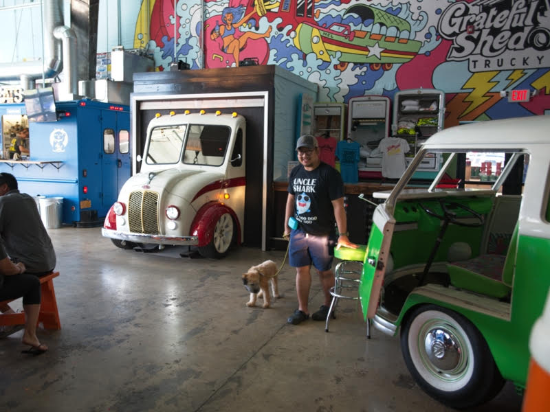 Wisconsin Dells offers fetching dogfriendly vacations OnMilwaukee