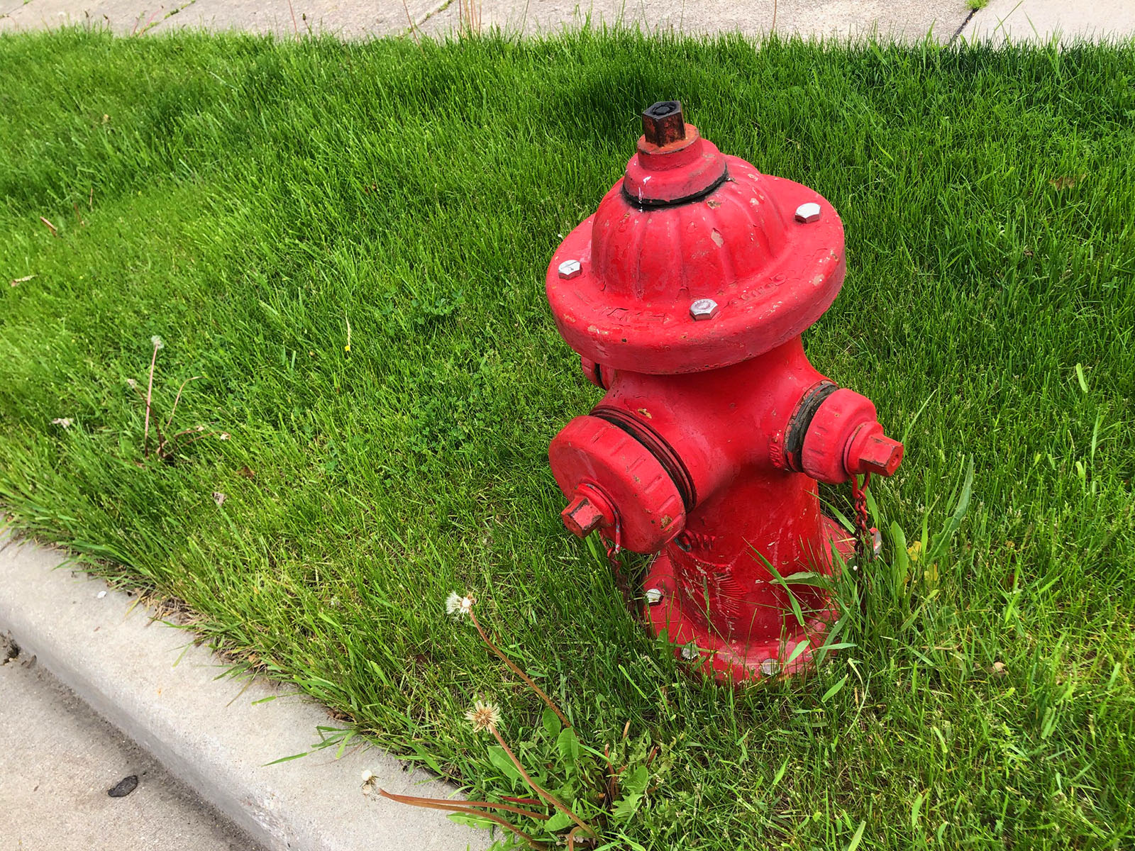 Why the green paint on Milwaukee's red fire hydrants?