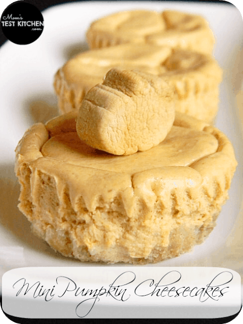 Mini cheesecakes close up with a pumpkin on top
