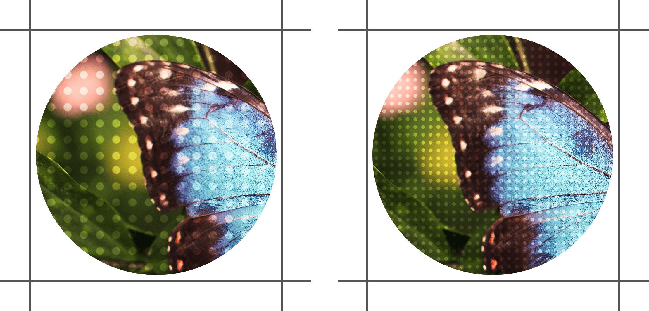 AI Image Resizer & Photo Enlargement Software ON1