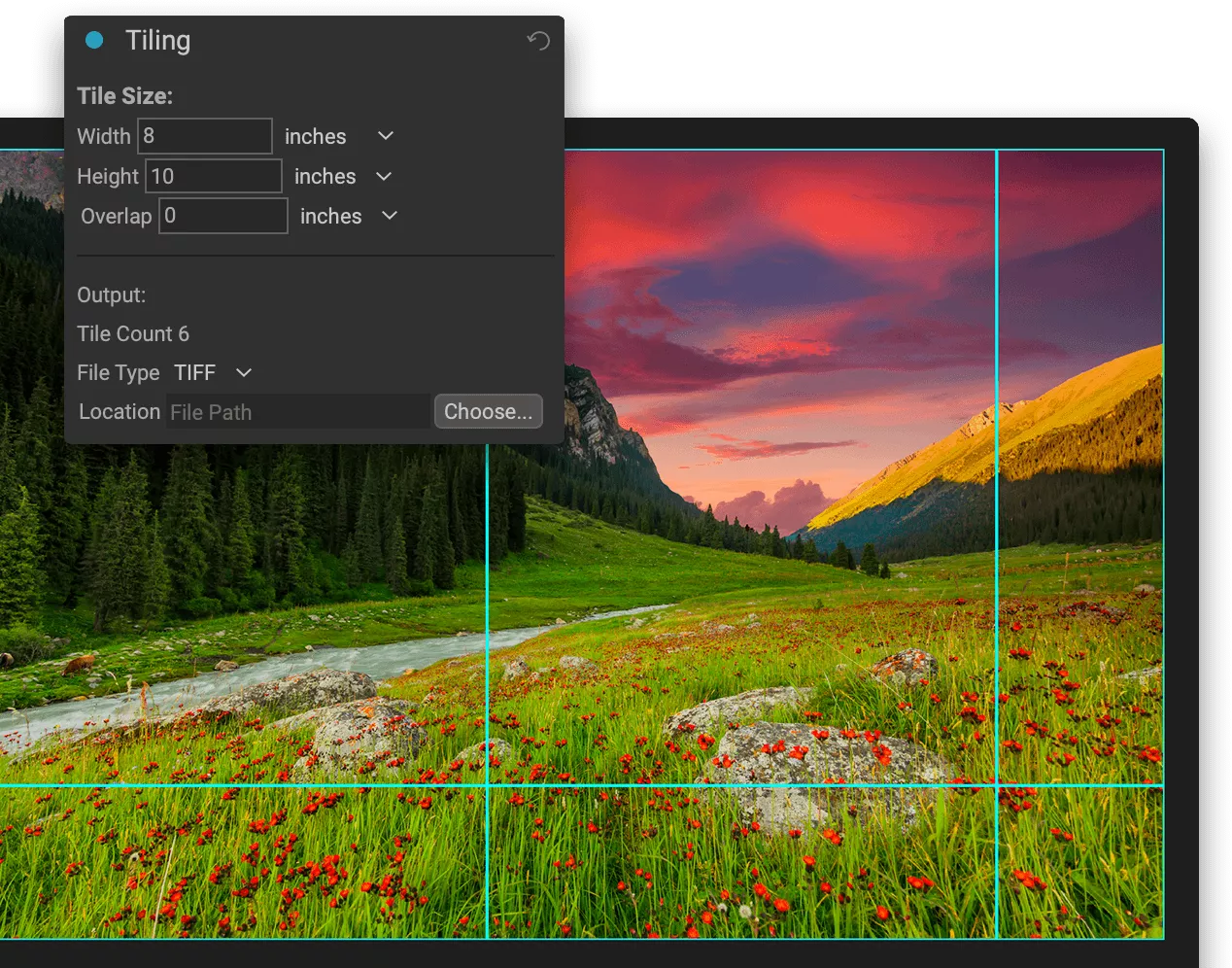 Ai Photo Resizer Software Shop For An Ai Image Resizer Photo