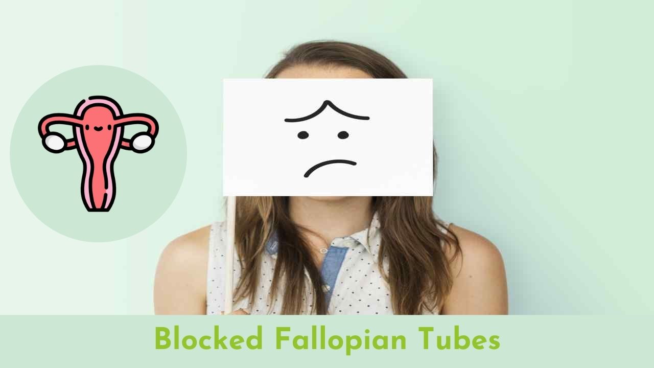 Blocked Fallopian Tubes Causes, Symptoms & Treatment ONP Hospitals