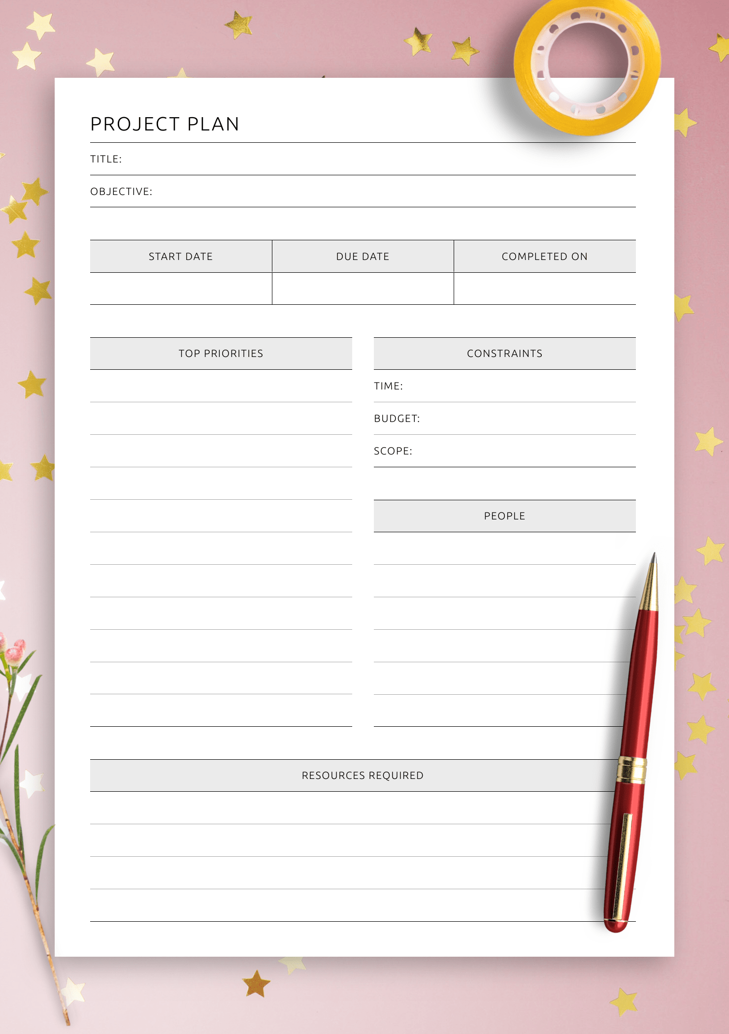 Download Printable Project Plan PDF