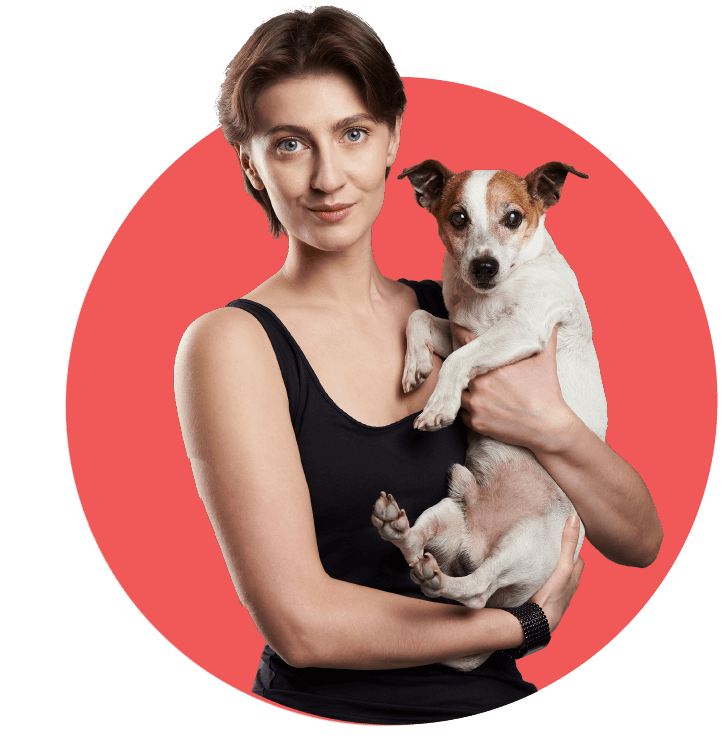 Home 01 Northern Kentucky Pet Resort & Doggie Daycare