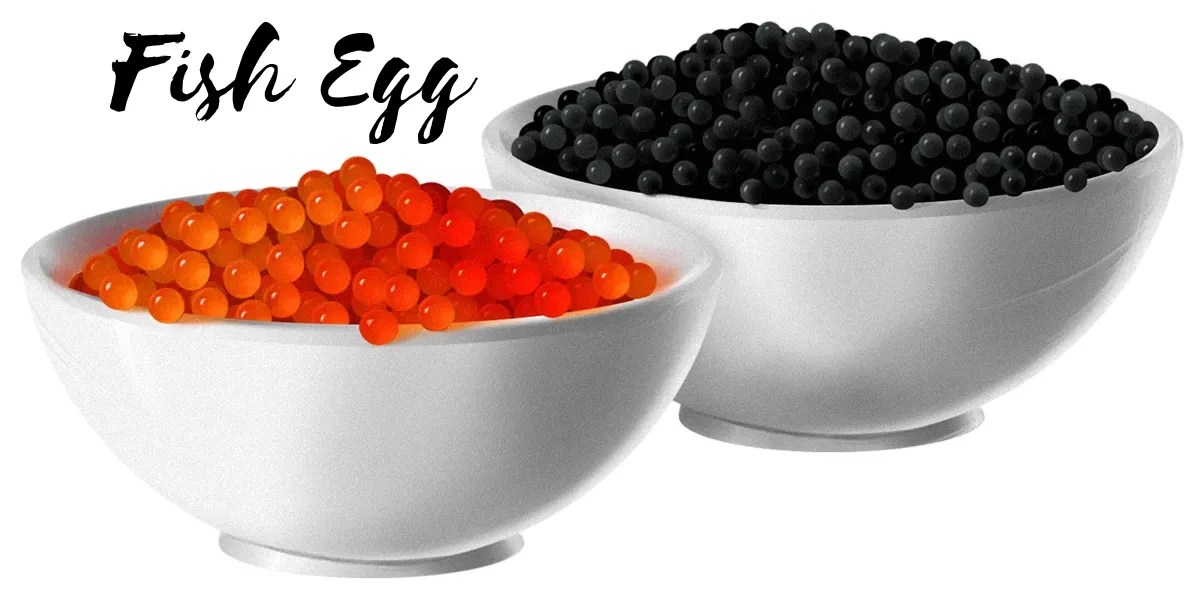 What is a Fish Egg Called? Exploring Arwana,Sherry Fish Eggs