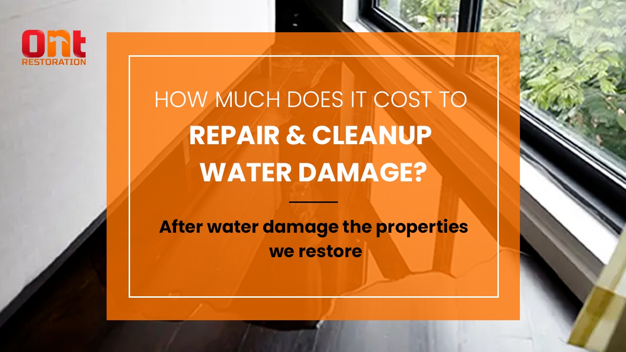 How Much Does It Cost To Repair & Cleanup Water Damage? ONT