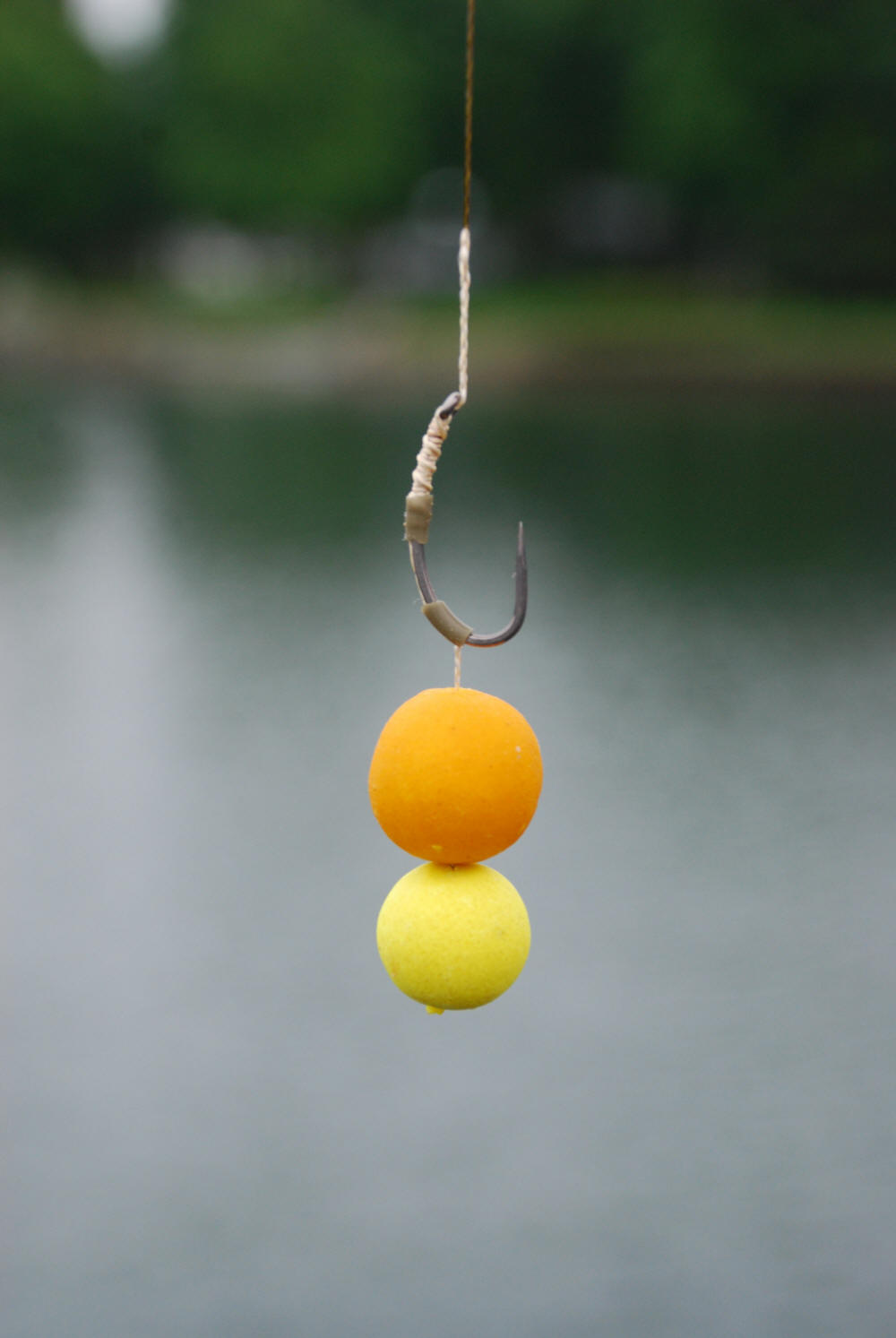 Ontario Carp Fishing made EASY!