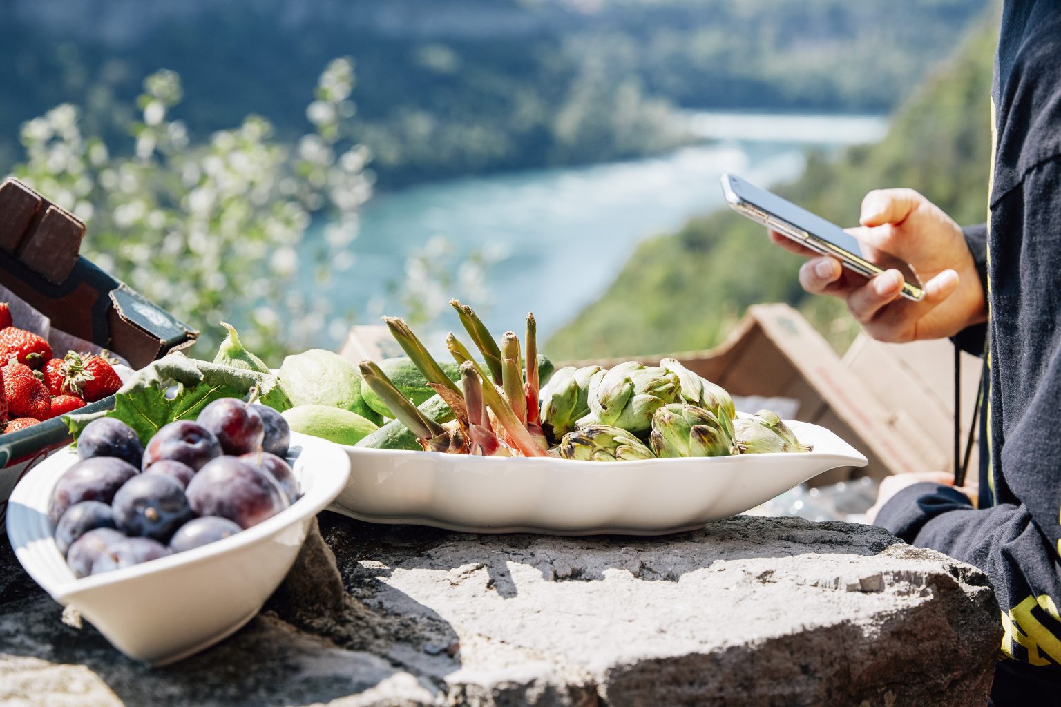 Brown College has Launched a New Food Tourism Entrepreneurship Graduate Certificate
