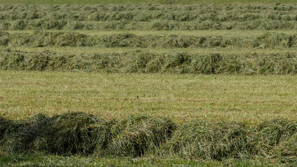 Making hay Ontario Grain Farmer