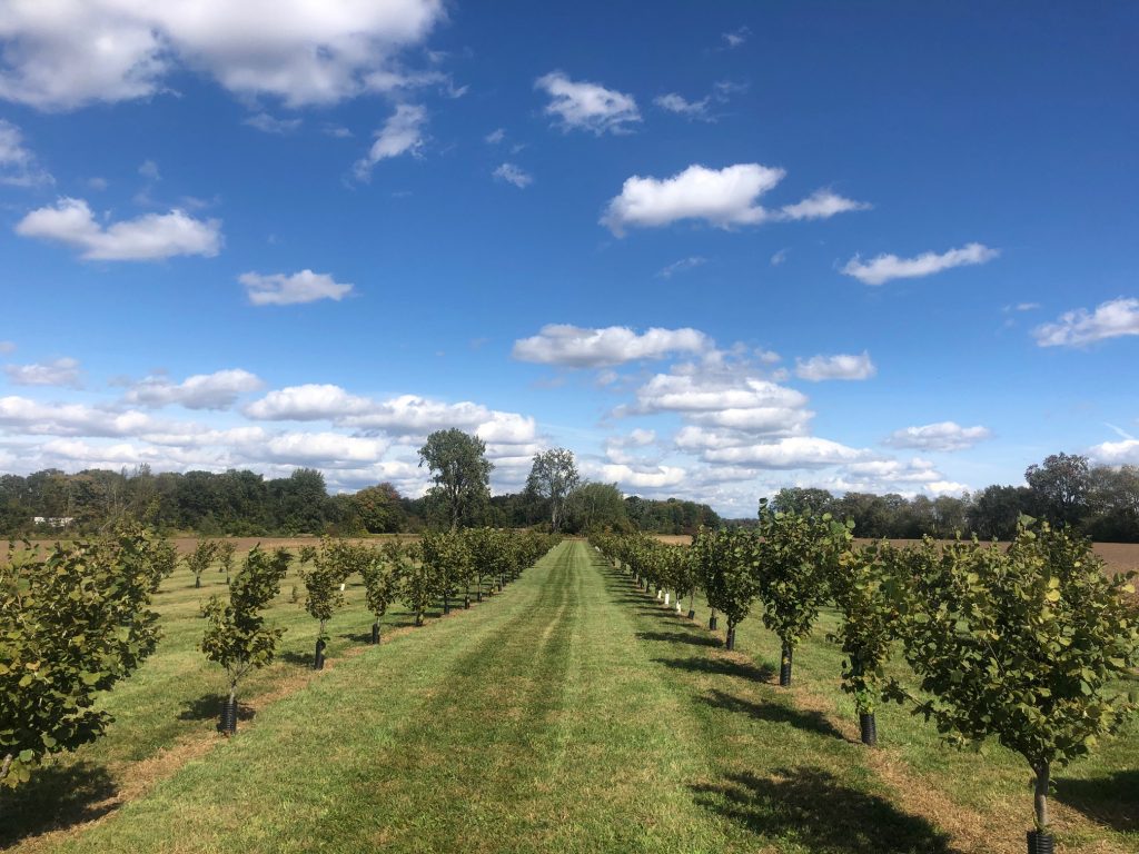 Ontario Hazelnut Association