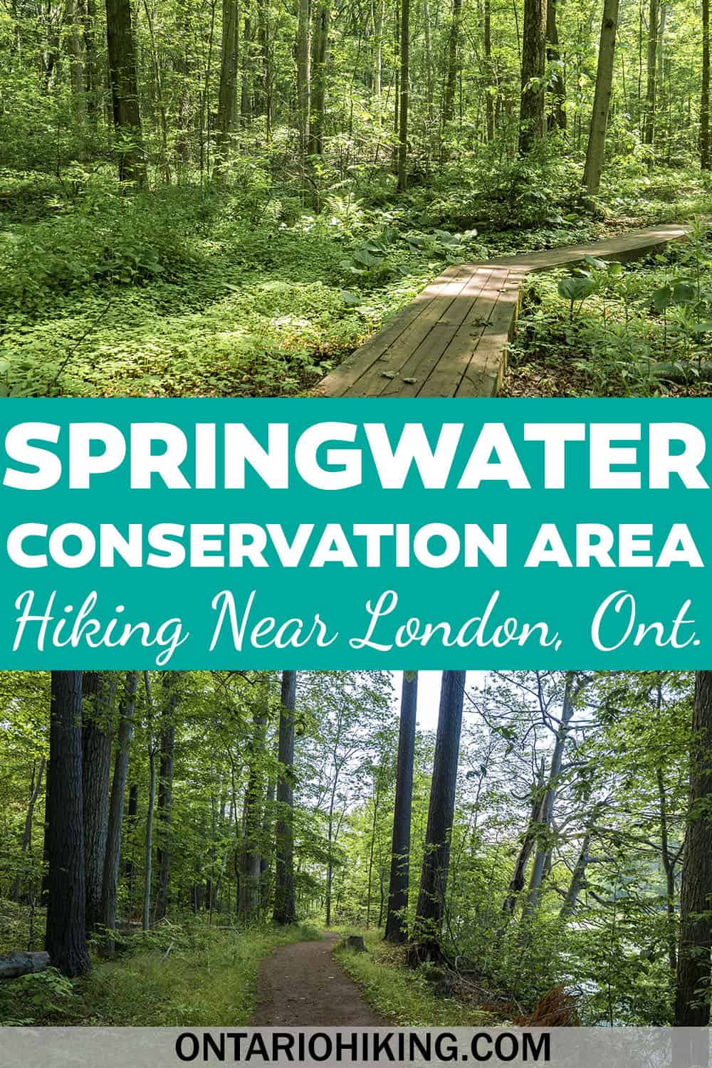 Springwater Conservation Area Beautiful Boardwalk Trails Near London