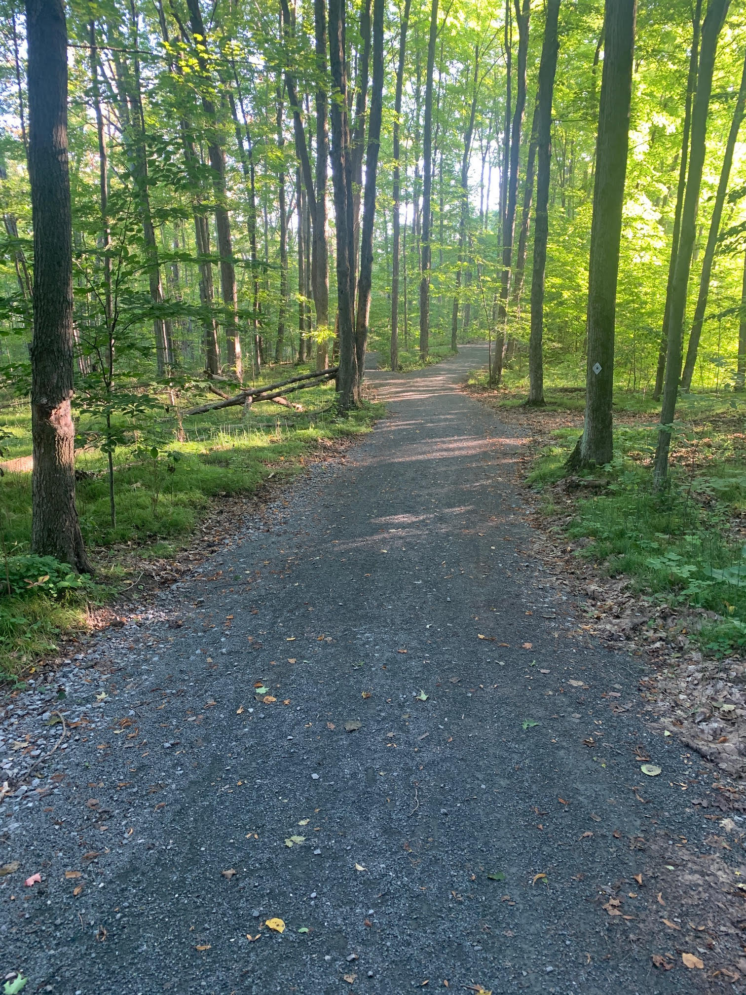 Havelock Chamber of Commerce Points of Interest