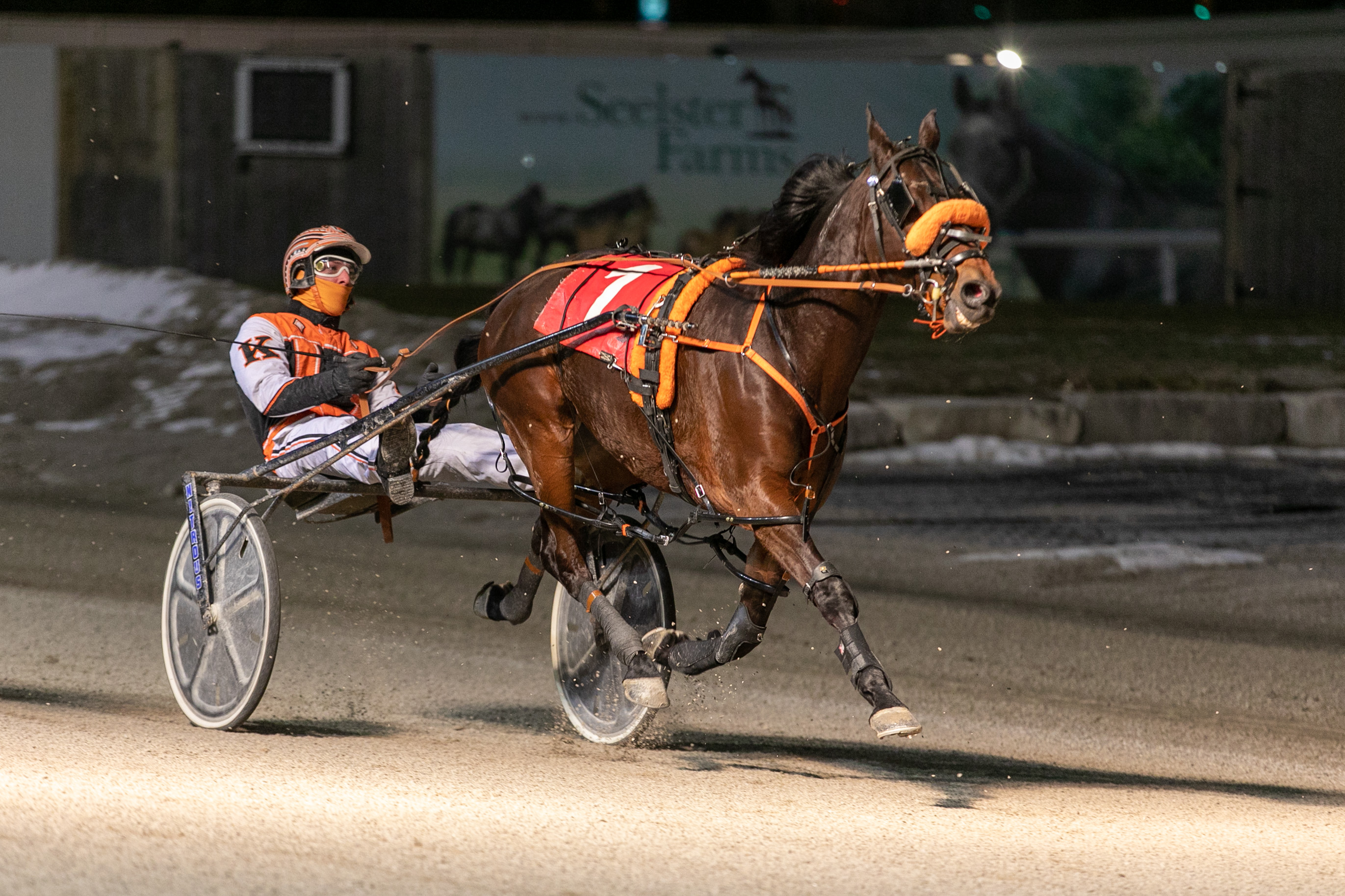 Barnsdale’s Western Fair Raceway Selections Monday, February 10