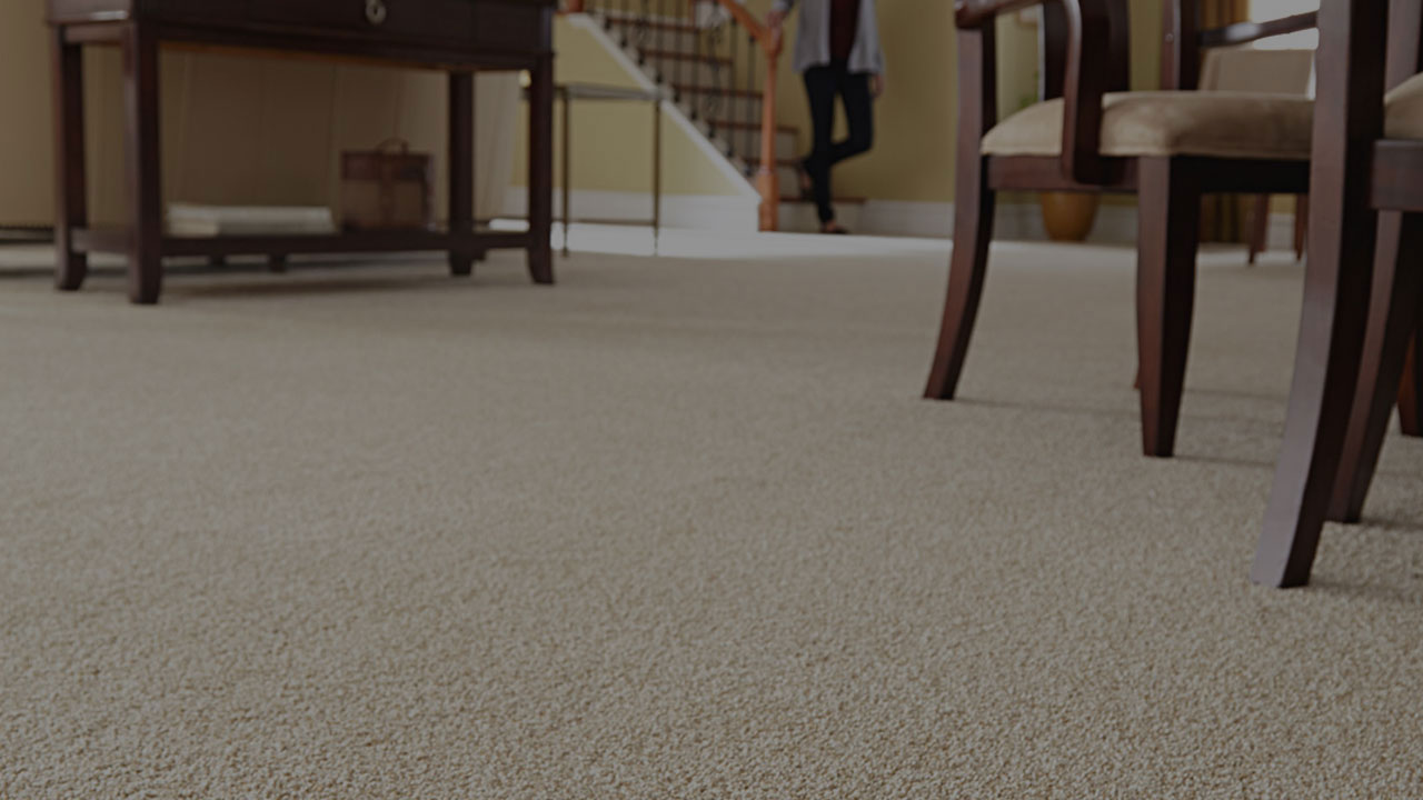 Windsor Duct & Carpet Cleaning Ontario Steam Carpet & Duct Cleaning