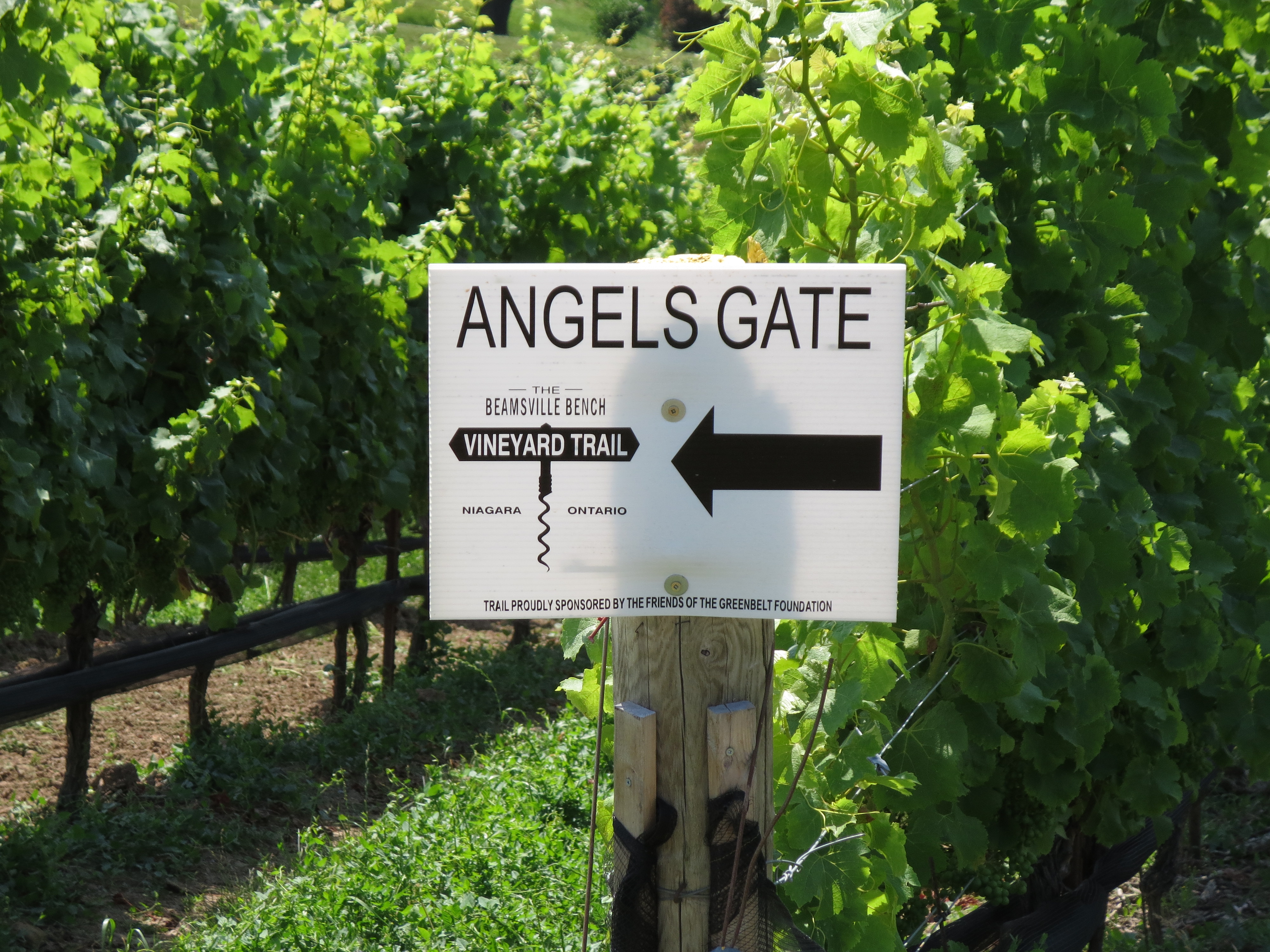Beamsville Bench Vineyard Trail Ontario Wineries Guide