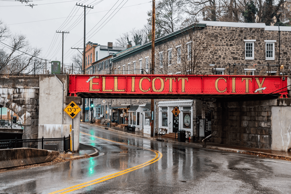 Ellicott City, Maryland Pest Control On The Fly Pest Solutions
