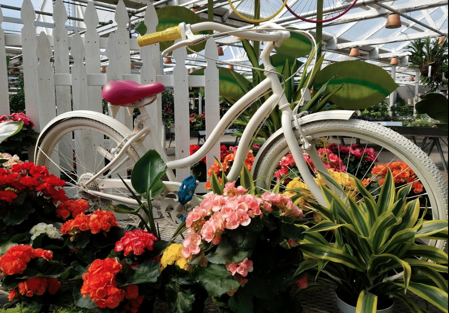 Christmas Events December 1 2023 Bothell Wa 10 Best Things To Do In Bothell WA in 2021 Plus Fun & Free Things To