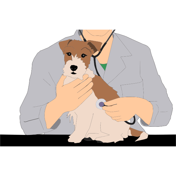 Swamped with sick animals as vet care affordability drops animal