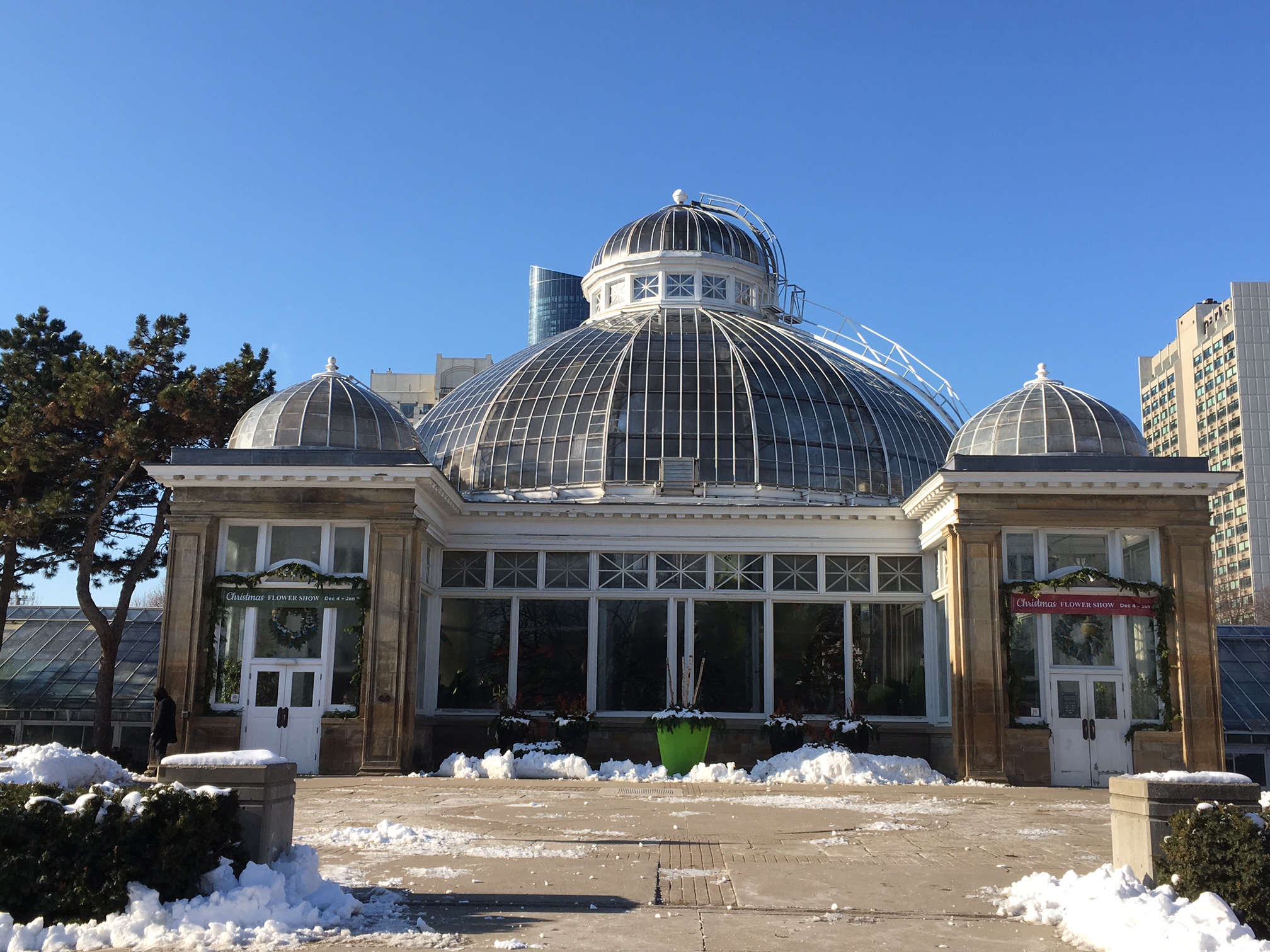 Allan Gardens, Toronto’s Hidden Treasure On The Town Tours