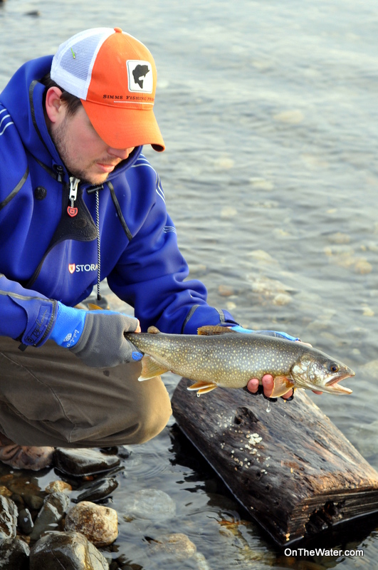 WellFed Lake Trout (Wachusett Reservoir Fishing Report)