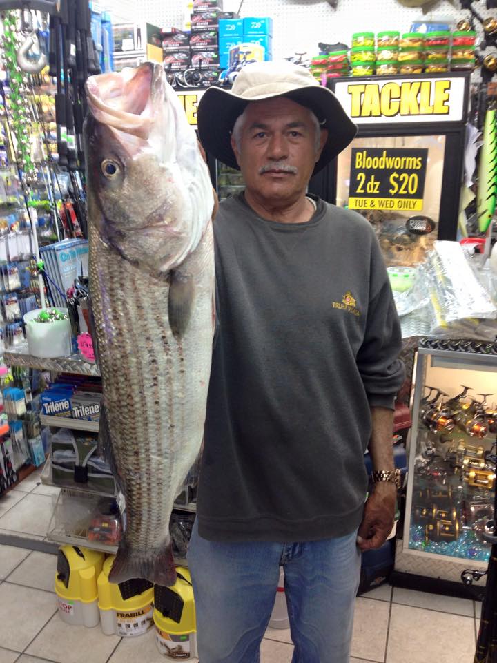 Closest Bait And Tackle Store