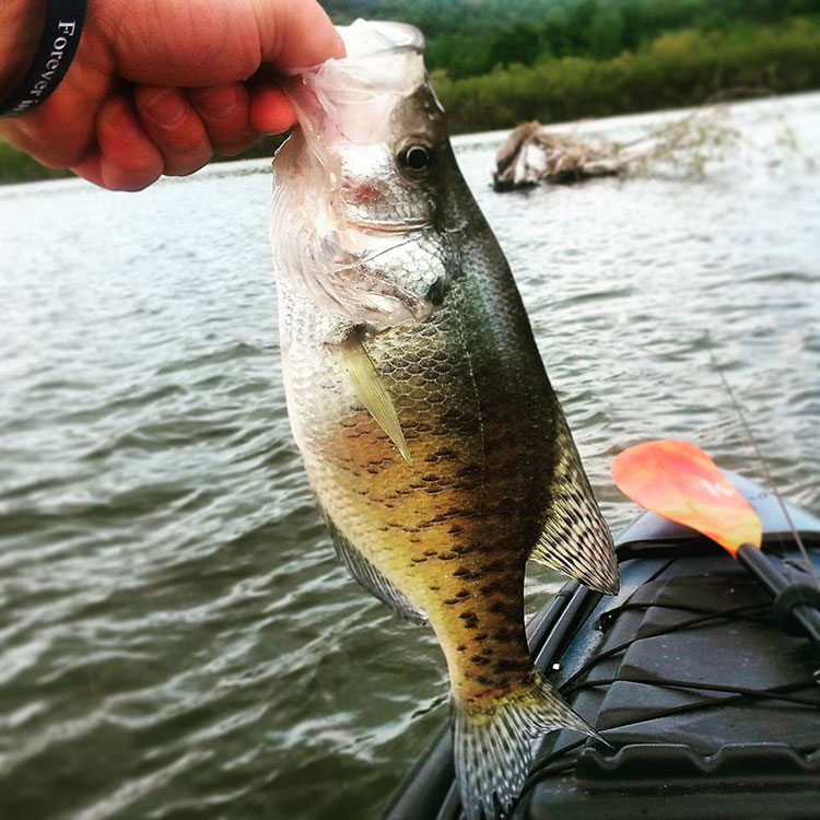 Pennsylvania Fishing Report July 14, 2022 On The Water