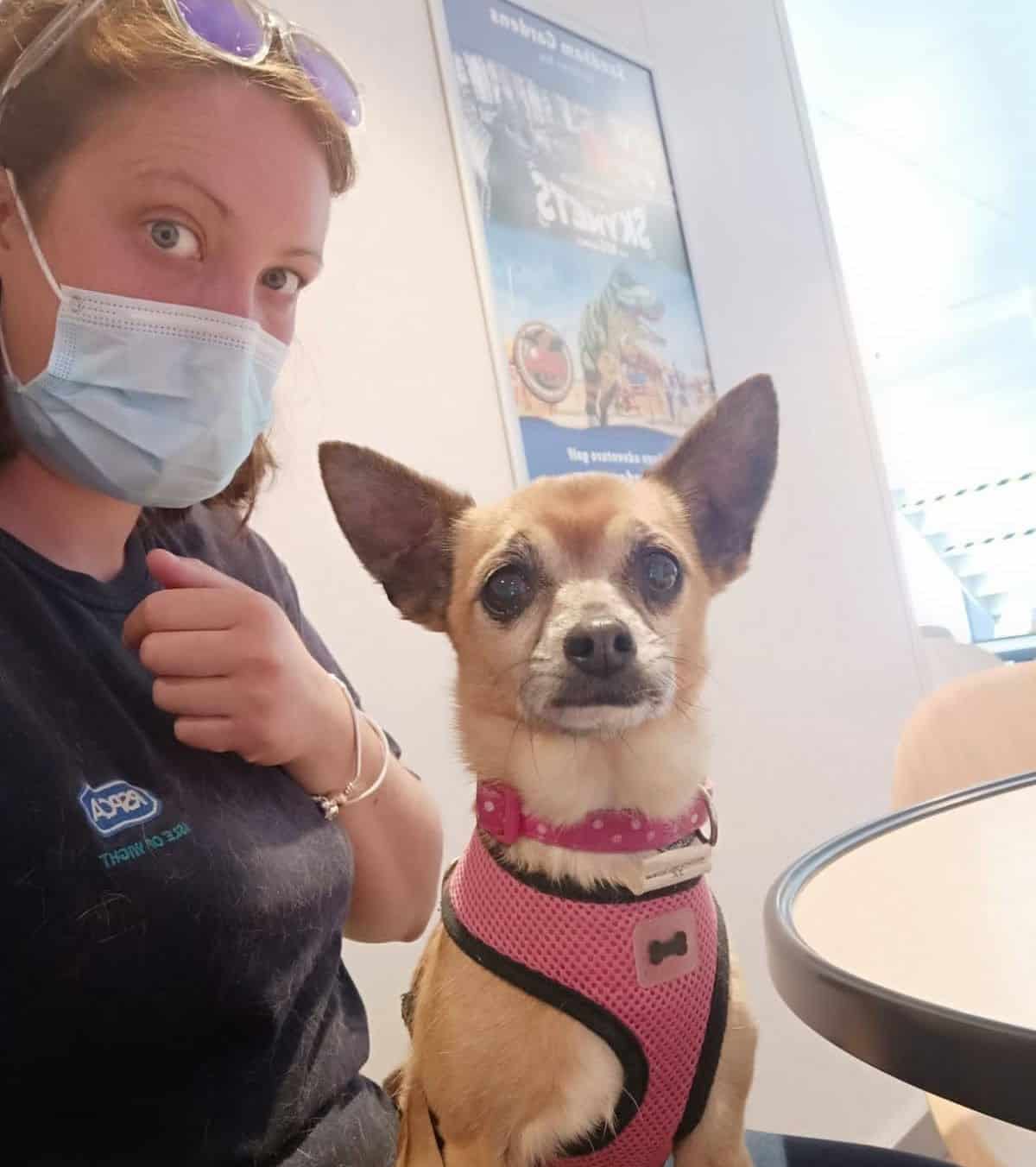 'Animals need your help more than ever', say Isle of Wight RSPCA as