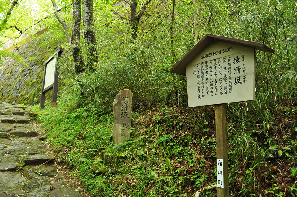 箱根の山は天下の険 意味