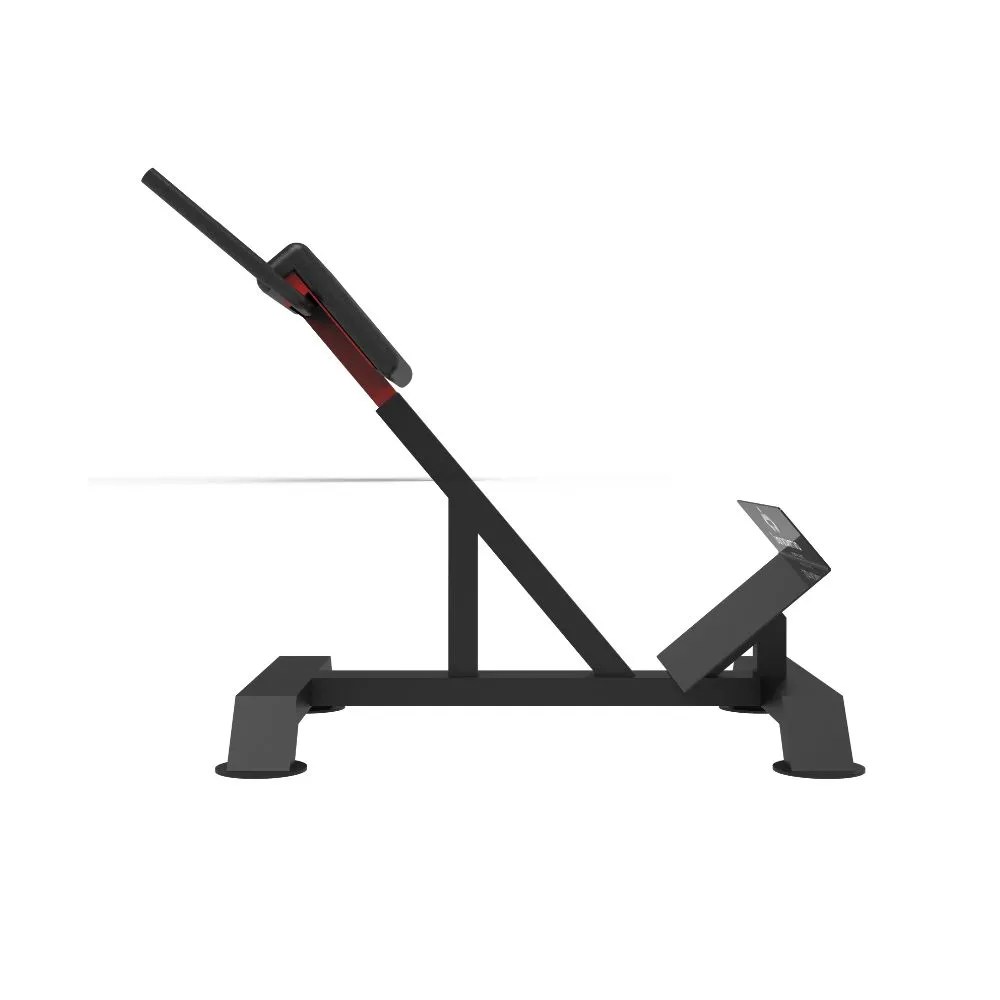 Back HyperExtension Roman chair gym machine