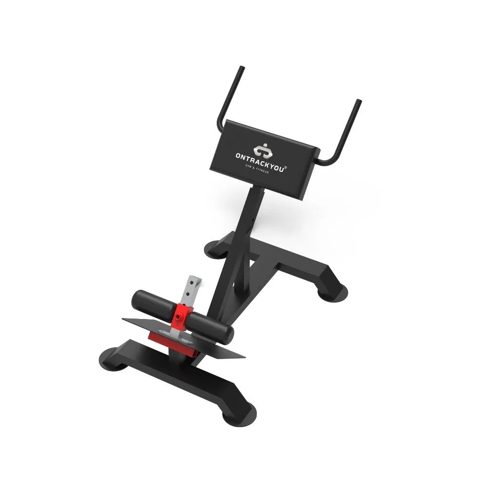 Back HyperExtension Roman chair gym machine