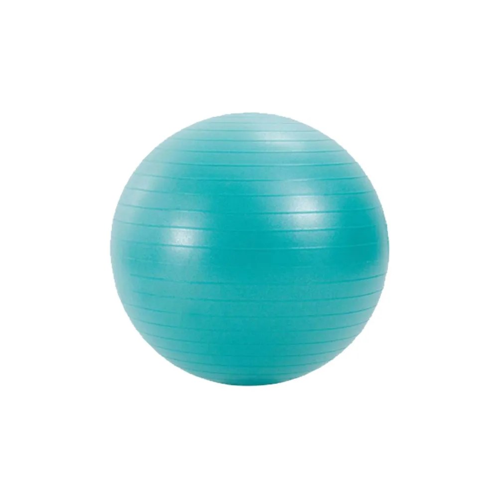 Best exercise gym ball price in india