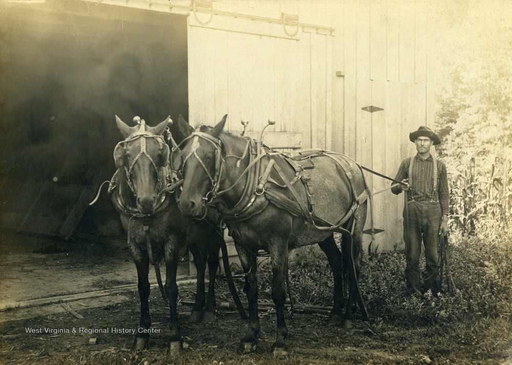 Gary Bowers Holds Hitched Horses, Grantsville, W. Va. West Virginia