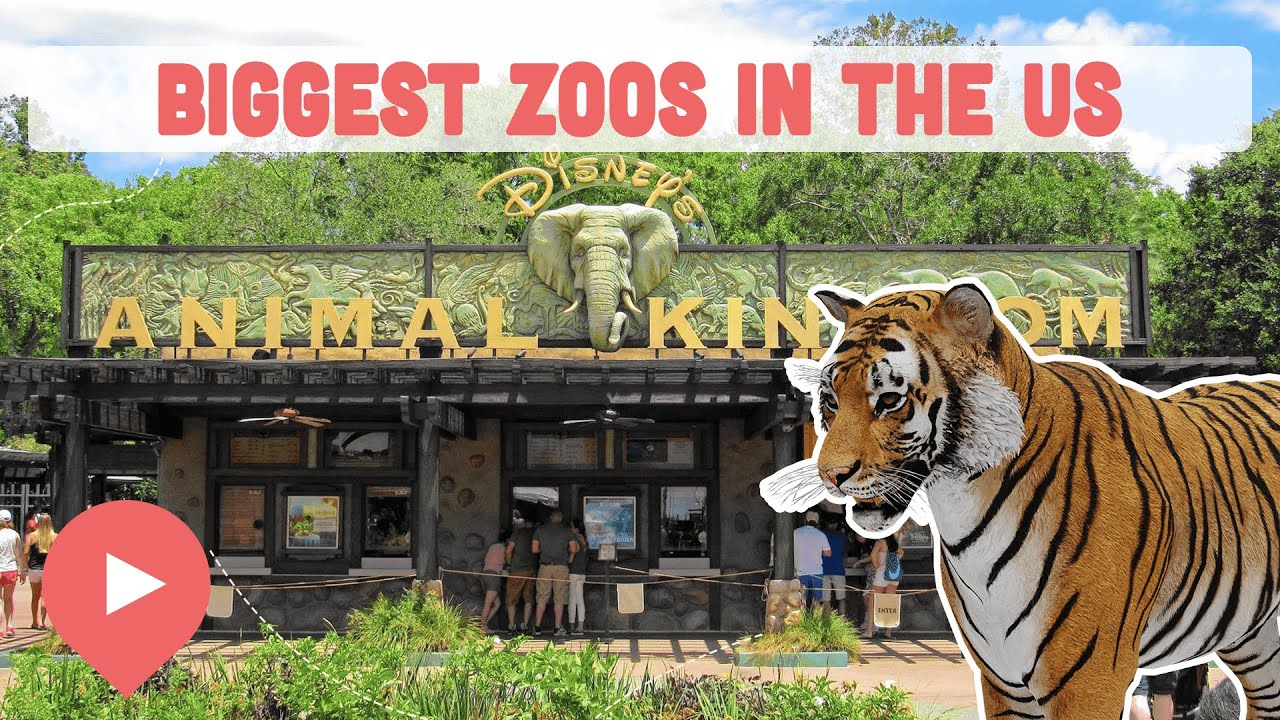 Biggest Zoos in the US