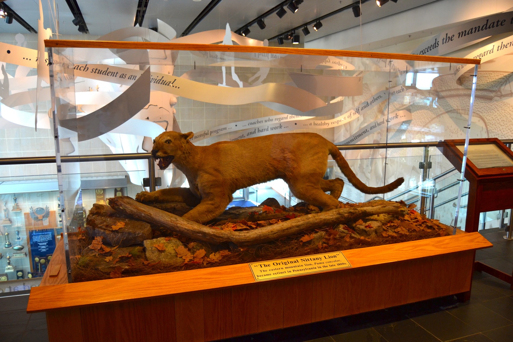 Visiting the Penn State AllSports Museum Onward State