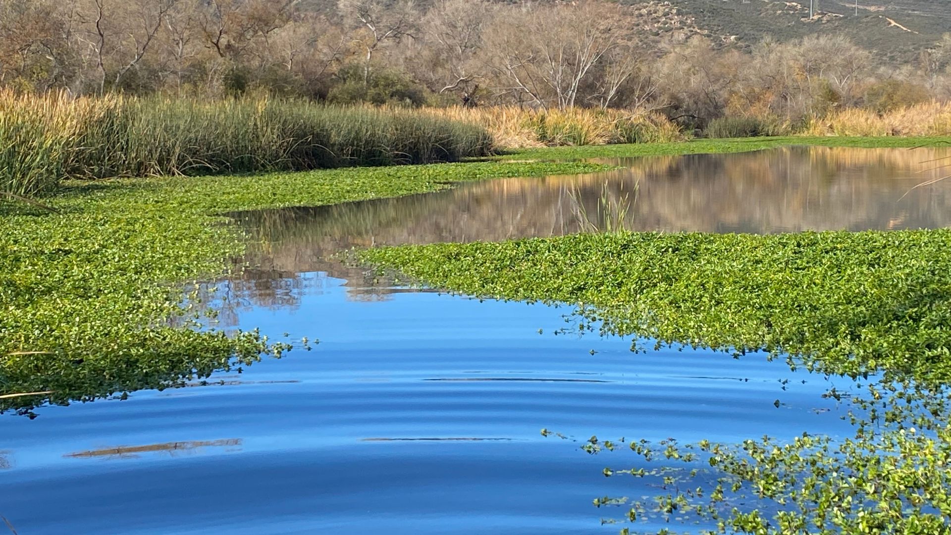 Camping & Community A Wellness Fusion at Kumeyaay Lake Onyeka Tefari
