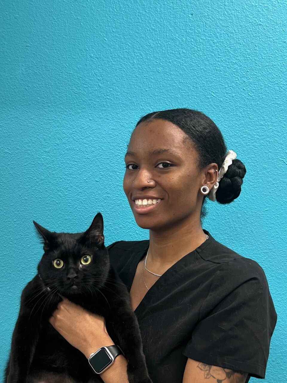 Meet the Team in Stamford and Norwalk, CT Onyx Pet Care