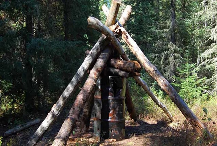 DIY bear bait basics Ontario OUT of DOORS