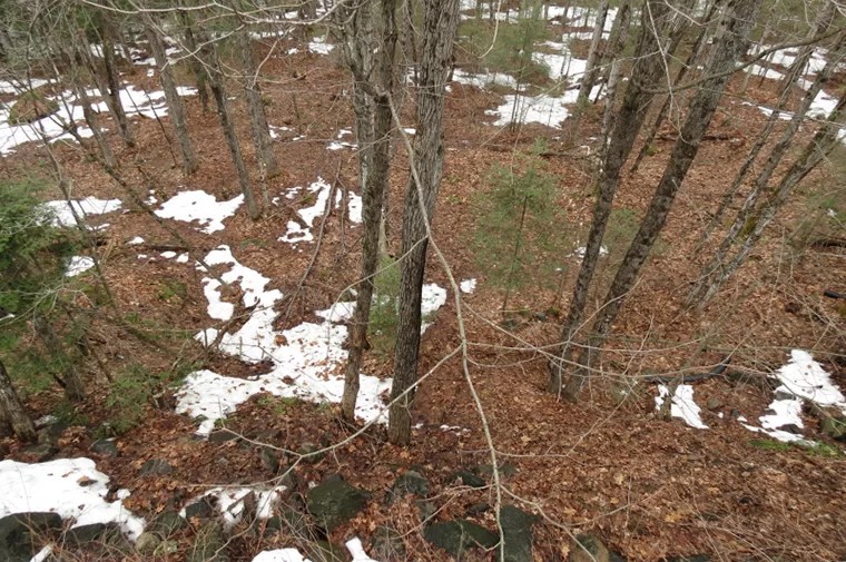Tree stand placement basics Ontario OUT of DOORS