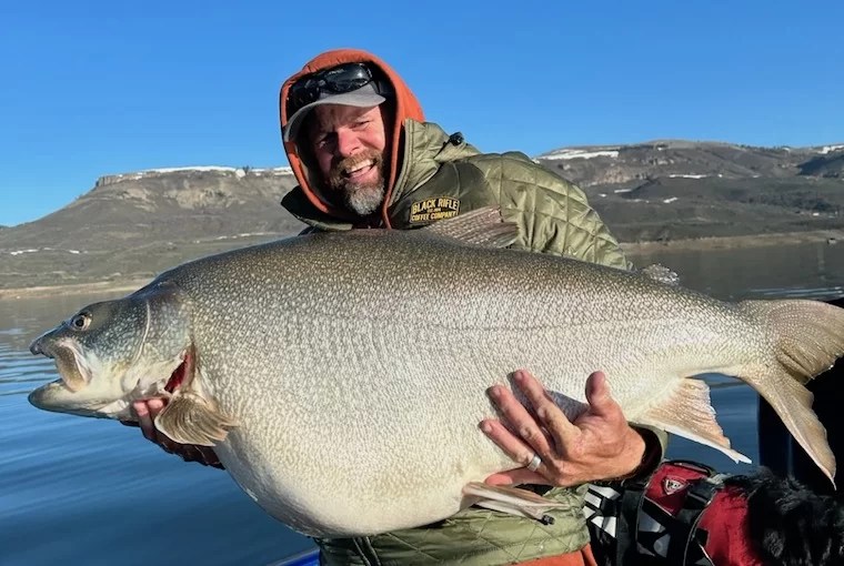 Potential new lake trout record Ontario OUT of DOORS