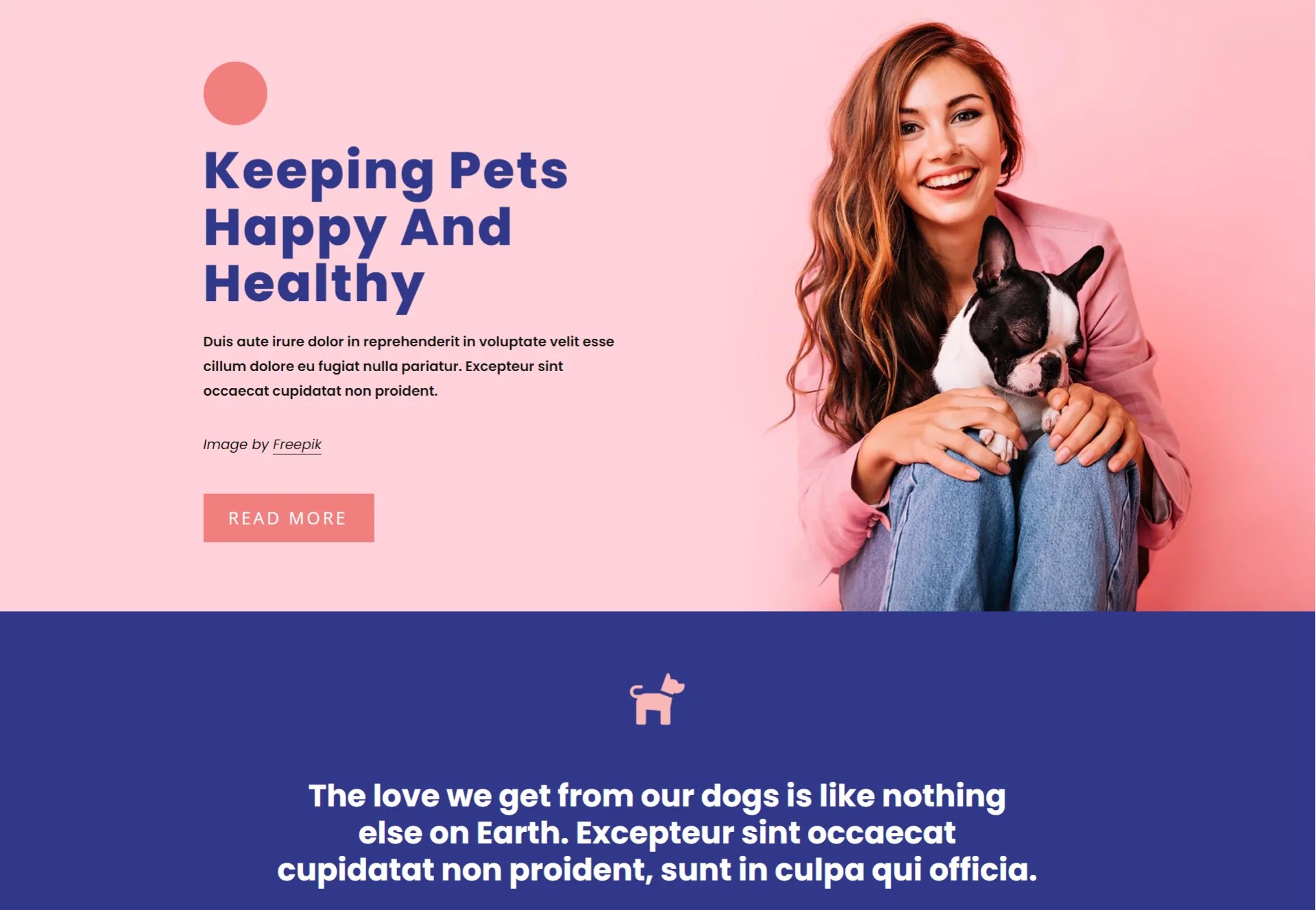 Pet Care Information Frontend Template OOP Technologies