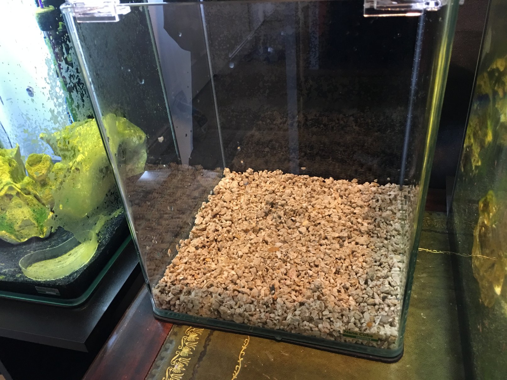 How to setup an Opae ula tank. The Opae ula shrimp Forum and online store