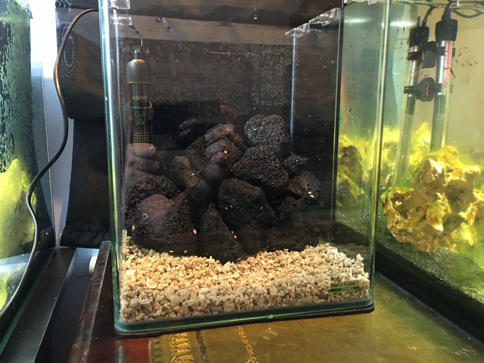 How to setup an Opae ula tank. The Opae ula shrimp Forum and online store