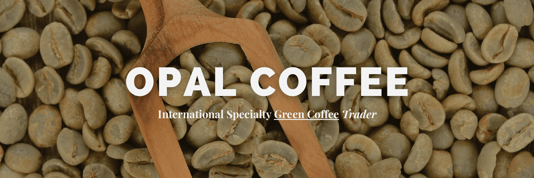 International Specialty Green Coffee Trader — Opal Coffee
